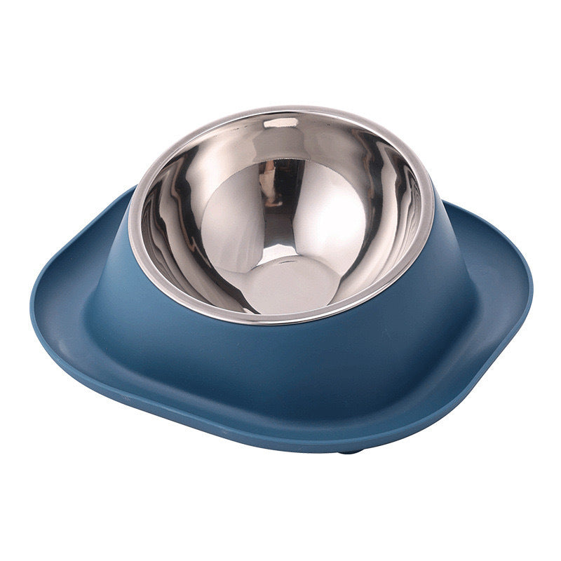 Anti-Ant Stainless Cat Bowl with Tilt Design