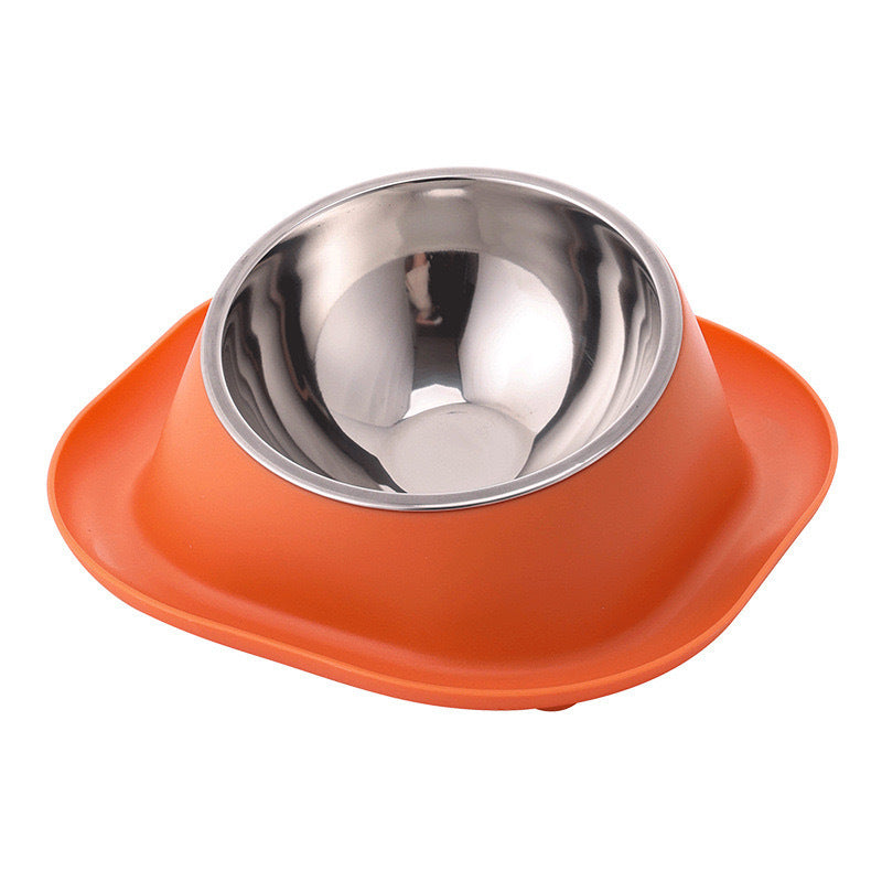 Anti-Ant Stainless Cat Bowl with Tilt Design