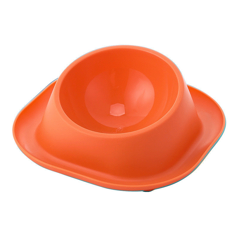 Anti-Ant Stainless Cat Bowl with Tilt Design