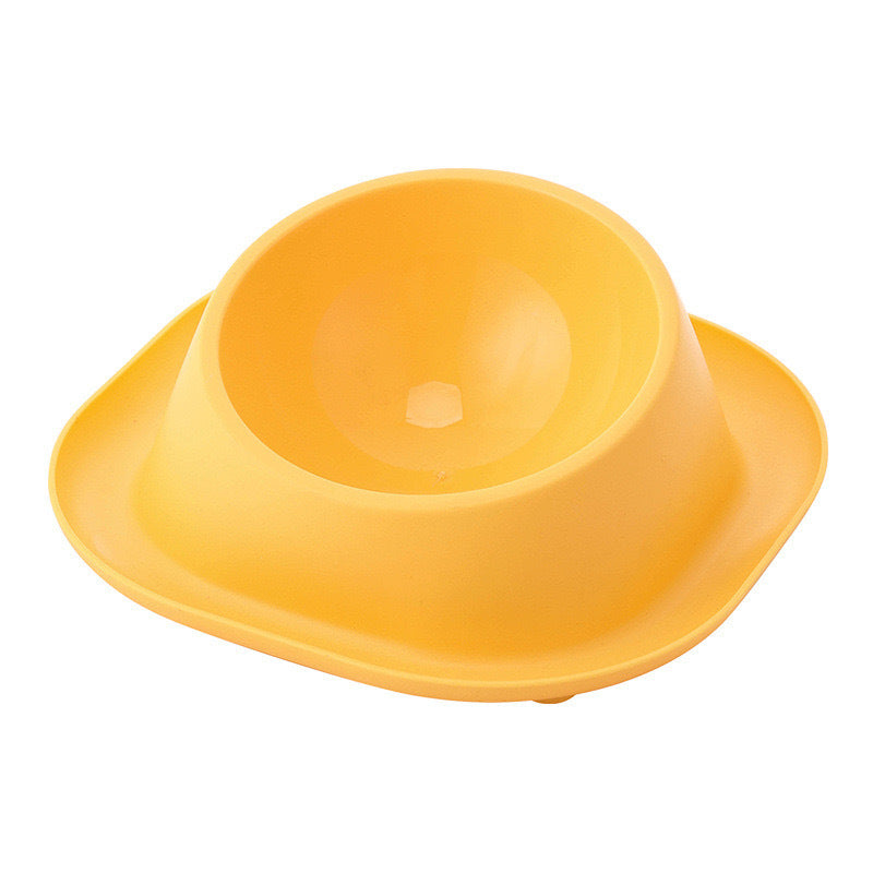 Anti-Ant Stainless Cat Bowl with Tilt Design