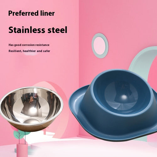 Anti-Ant Stainless Cat Bowl with Tilt Design
